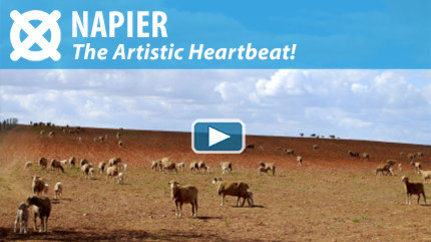 WATCH THE VIDEO: Welcome to Napier